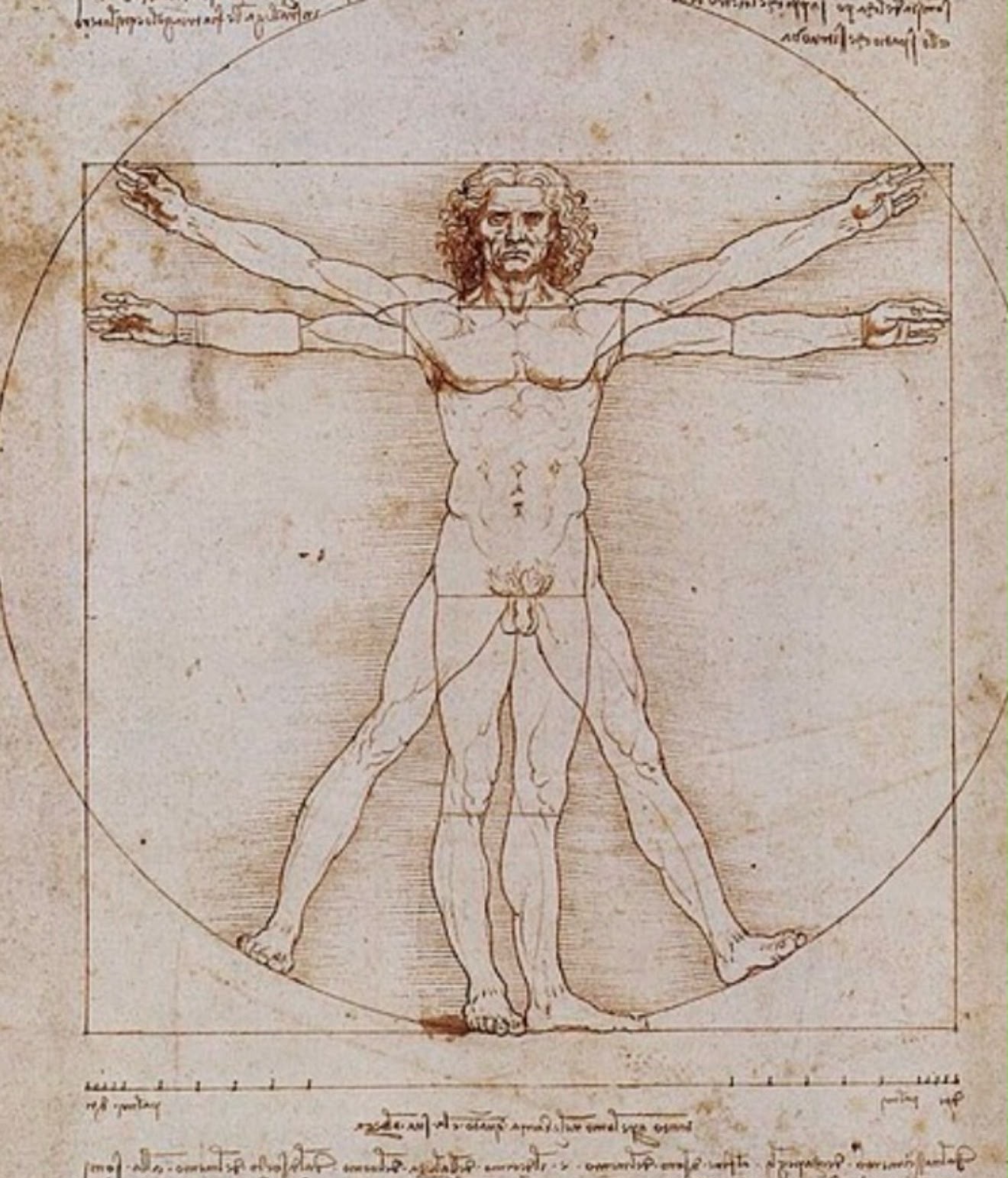 Leonardo da Vinci's Vitruvian Man — sacred proportion in the human body